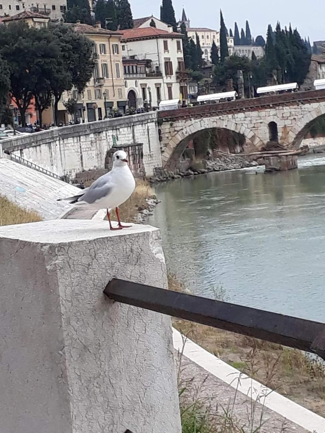 Casa Vacanza Elena Verona Luaran gambar